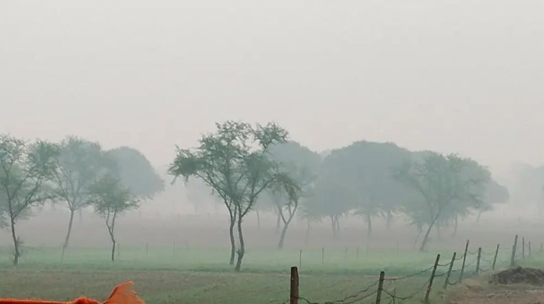 Weather Update: बारिश के बाद बदला मौसम का मिजाज, आज से दिखेगा यह बदलाव